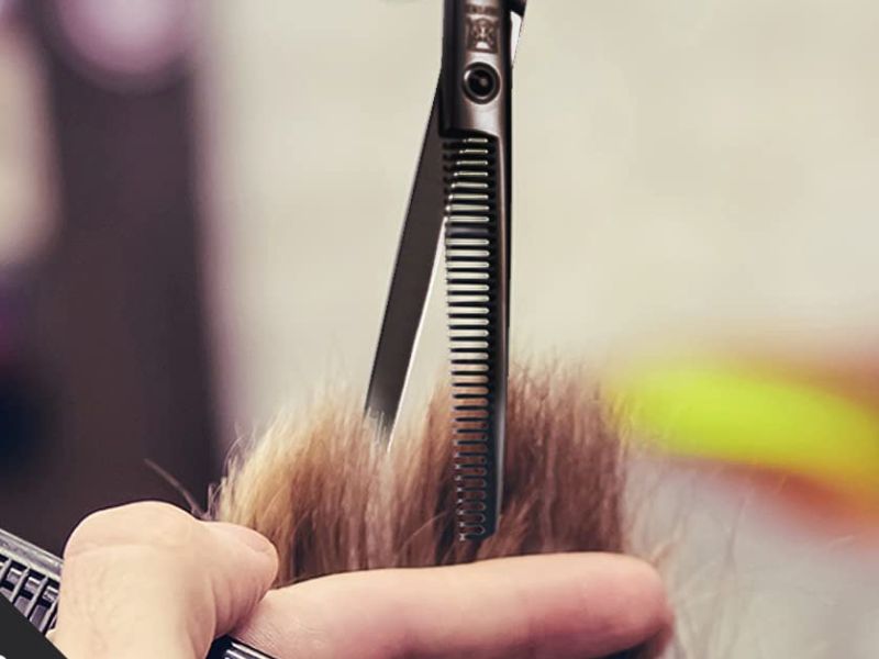 Kỹ thuật tỉa point cut