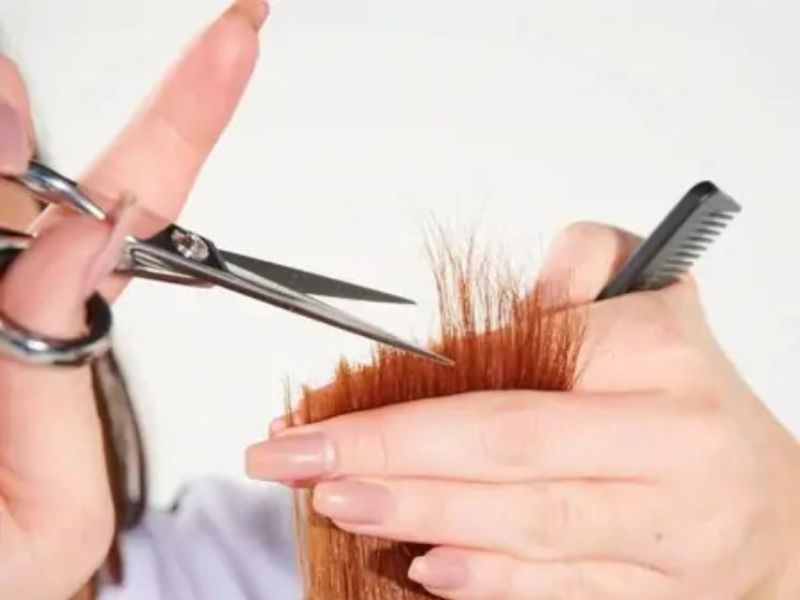 Kỹ thuật cắt điểm (Point Cut)
